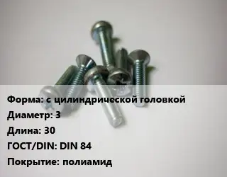 Винт с цилиндрической головкой 3х30 DIN 84 полиамид